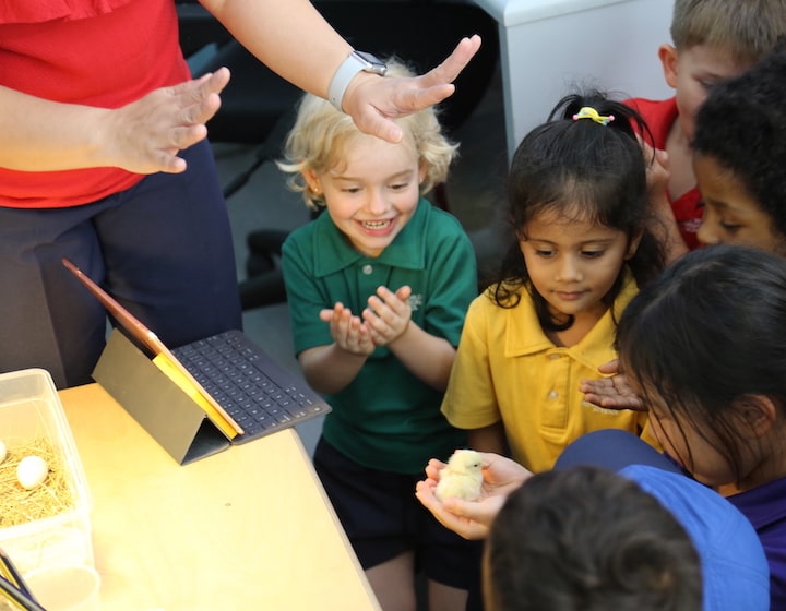 Do Curious Children Become Happier Adults? Why OWIS’ Preschools Think Curiosity Is The Key to Success